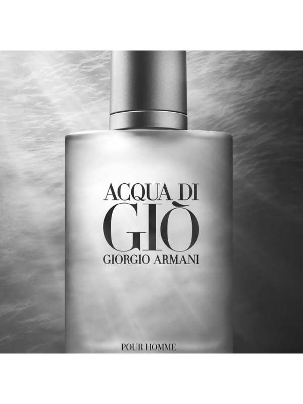 Giorgio Armani Acqua Di Gio EDT for Men, 100ml : : Health &  Personal Care