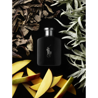 Polo Black Eau de Toilette de Hombre Polo Black Eau de Toilette de Hombre