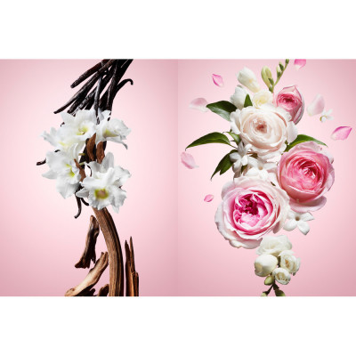 Flowerbomb Eau De Parfum Mujer