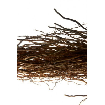 L'Homme Eau de Toilette Perfume hombre L'Homme Eau de Toilette Perfume hombre