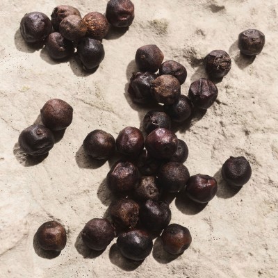 Light Blue Pour Homme Capri in Love Eau de Parfum Light Blue Pour Homme Capri in Love Eau de Parfum