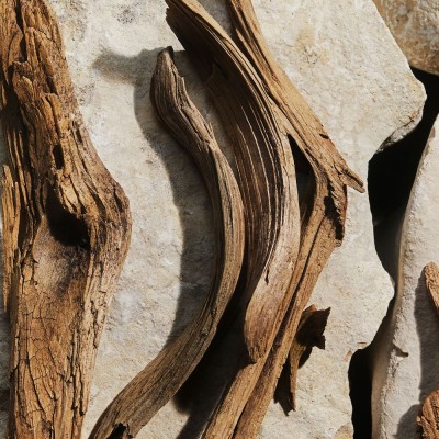 New Light Blue Eau de Toilette