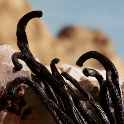 Q by Dolce & Gabanna Eau de Parfum