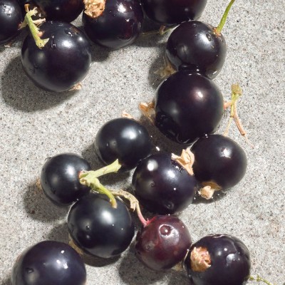 Dolce Violet Eau de Toilette 75 ml