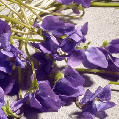 Dolce Violet Eau de Toilette 75 ml