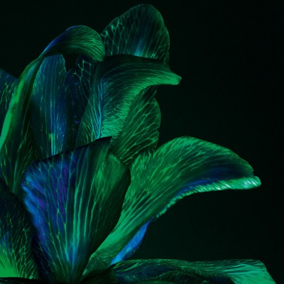 Powercell Skin Rehab Night 50 ml