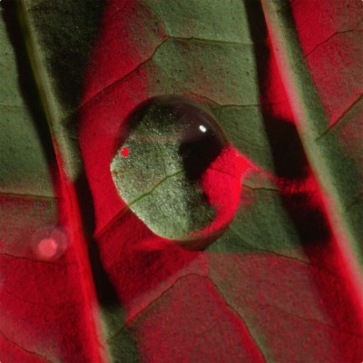 Total Eye Lift 15 ml