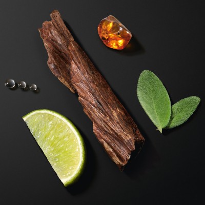 Acqua di Gio Homme Eau de Parfum Intense