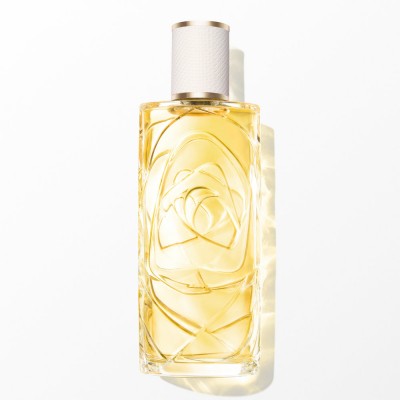 Ô de Lancôme Ô Zenith Eau de Toilette 100 ml