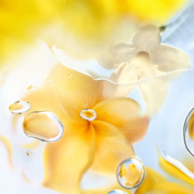 Ô de Lancôme Ô Zenith Eau de Toilette 100 ml