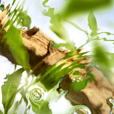 Ô de Lancôme Ôff Now Eau de Toilette 100 ml