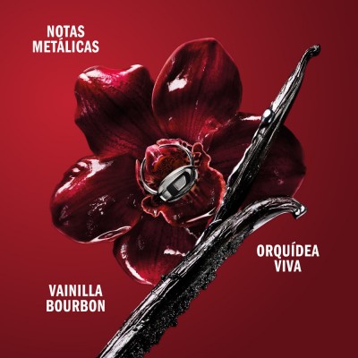 Only Desire Eau de Parfum