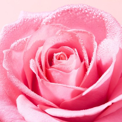 Very Rose Agua Micelar Calmante Very Rose Agua Micelar Calmante